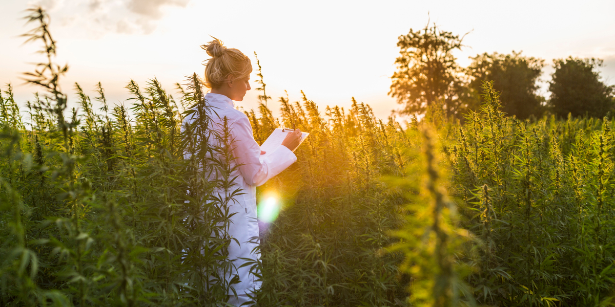 is cbd legal
