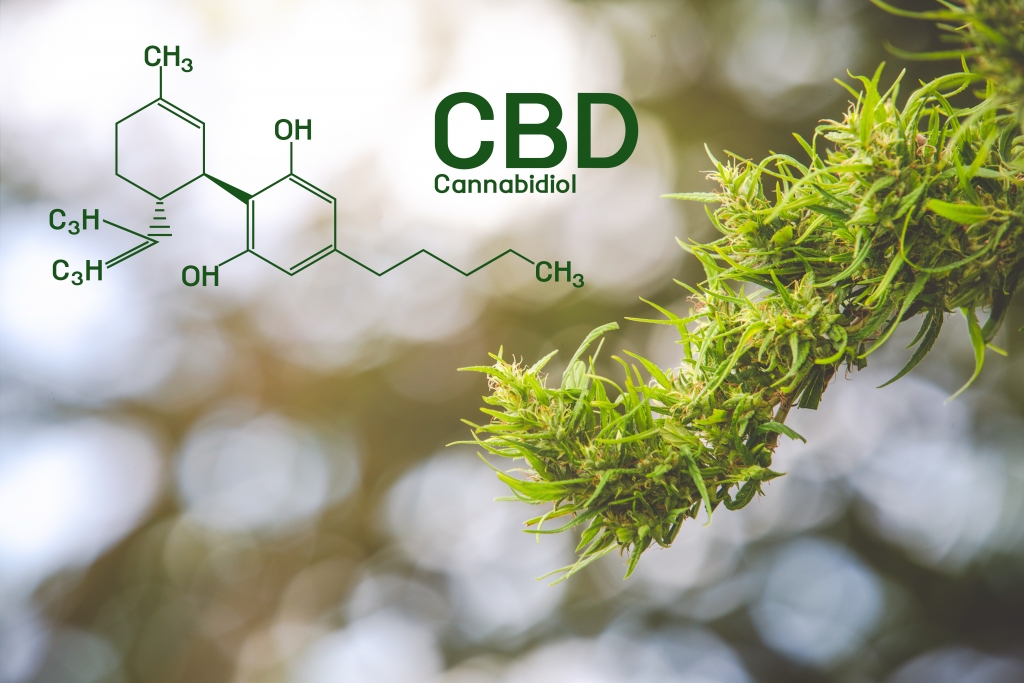 what is cbd