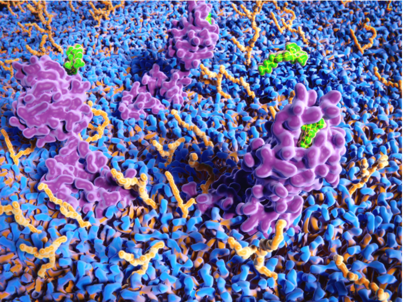 Cannabinoid, what is a cannabinoid, medical marijuana, cannabis, cbd