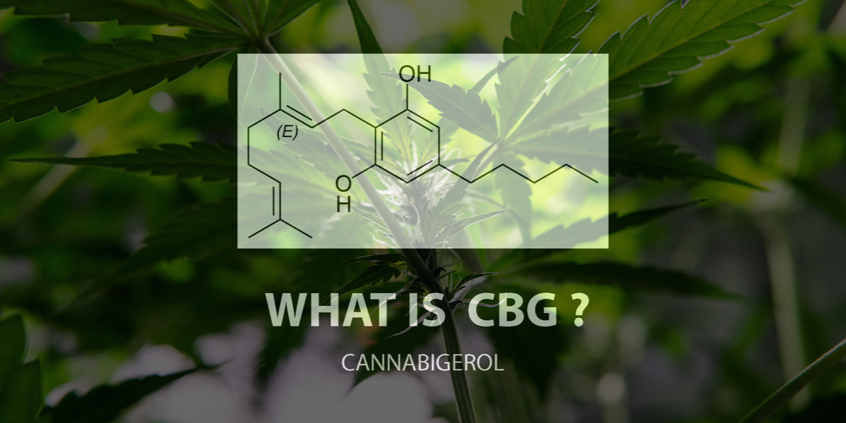cannabigerol, cbg