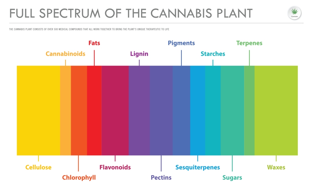 what is CBD full spectrum, CBD full spectrum, CBD oil