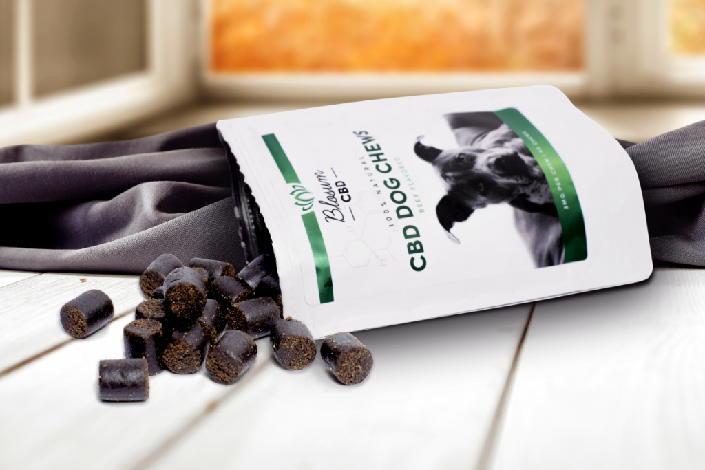 best cbd oil for dogs