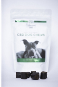best cbd for dogs