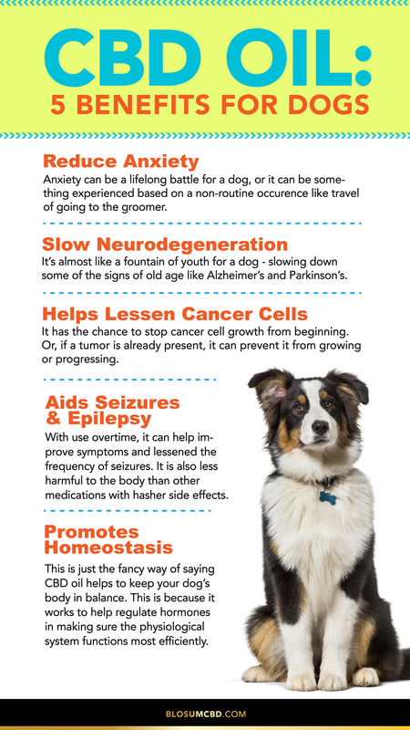 cbd oil benefits for dogs