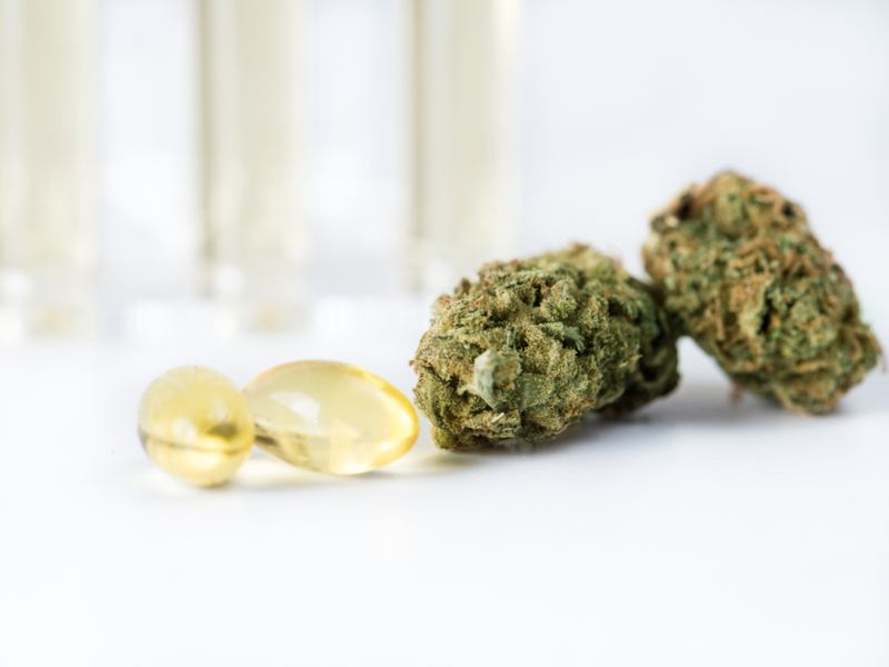 CBD Capsules vs CBD Softgels 