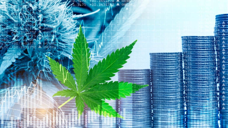 Why You Should Invest in CBD Stocks