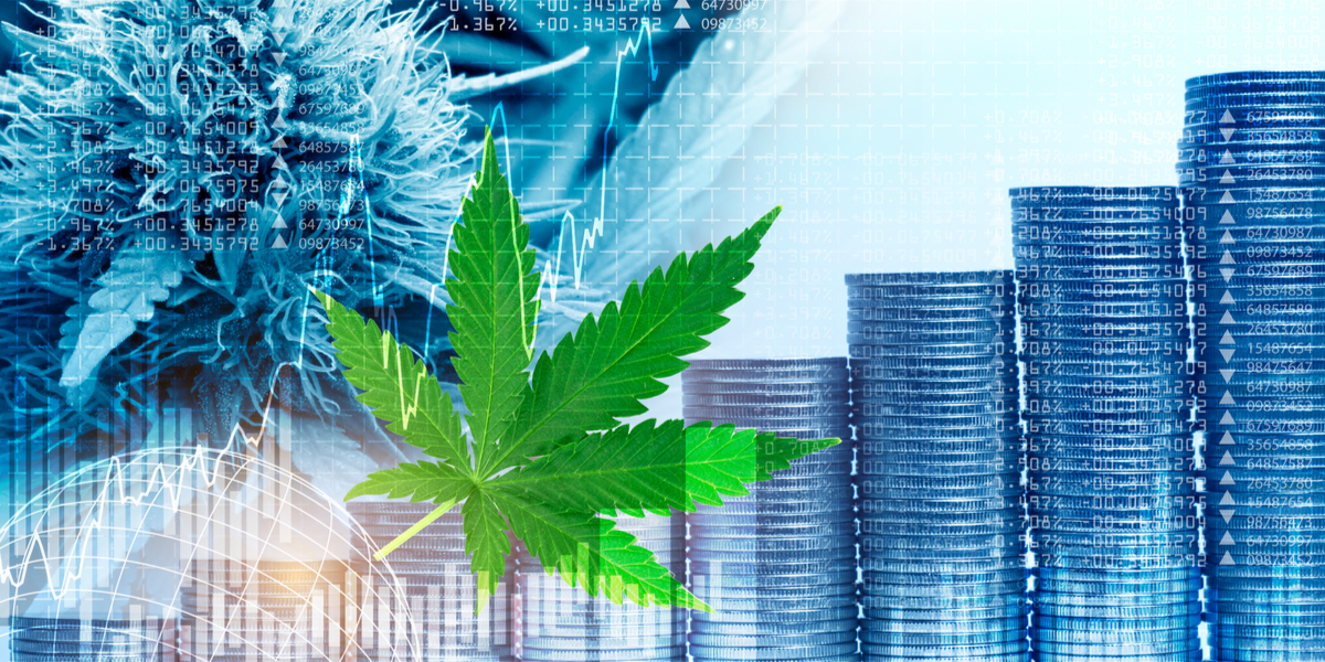 Why You Should Invest in CBD Stocks